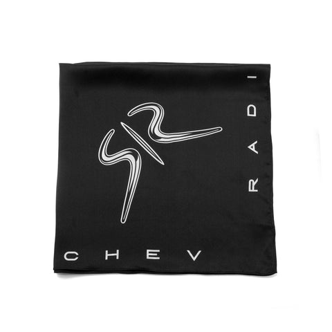 Silk scarf RADICHEV