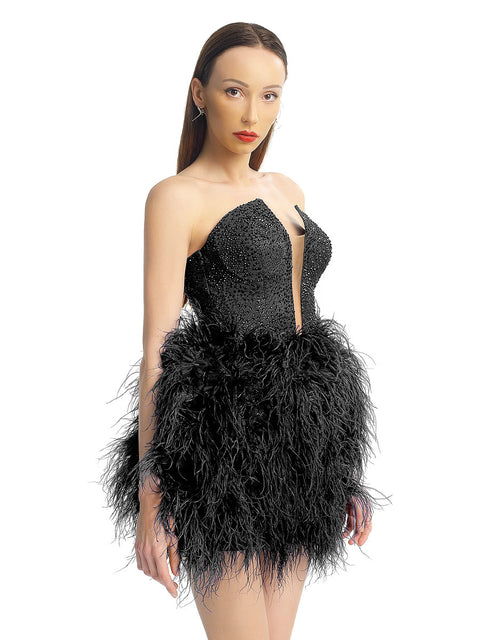 Short black dress with feathers